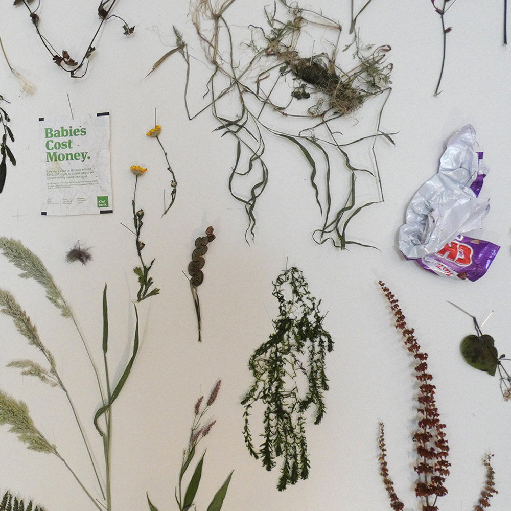 Siv B. Fjærestad, Adaptation, (Makoura Catchment Arrangement/Composition) An inventory of selected botanical and found objects sourced from the Makoura Stream Catchment in Masterton.