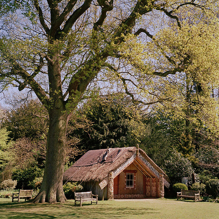 Gavin Hipkins The Homely Clandon Hinemihi 2015 (Detail)