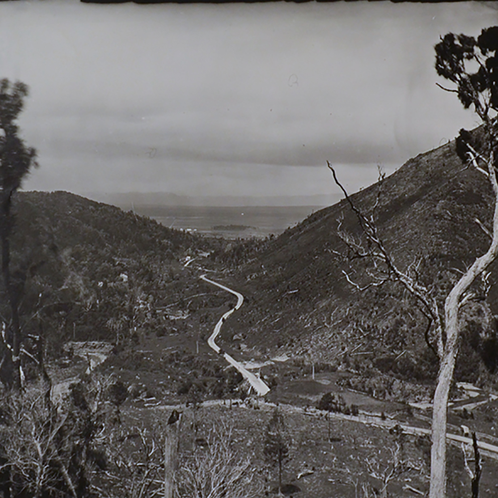 Looking down on the Wairarapa Plain