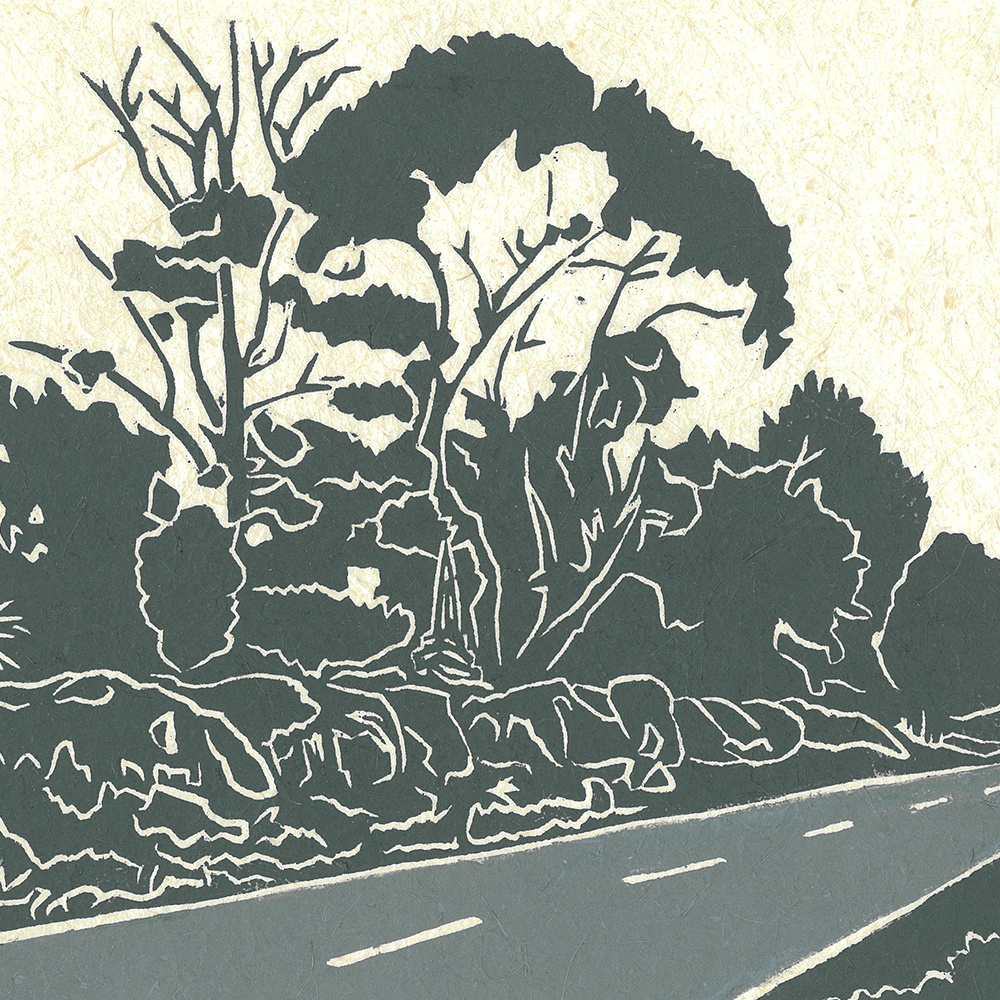 Road through the bush