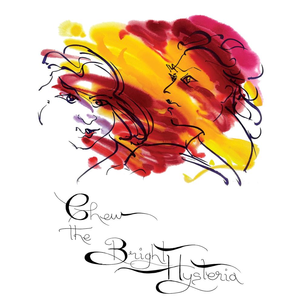 Chew the Bright Hysteria Book cover