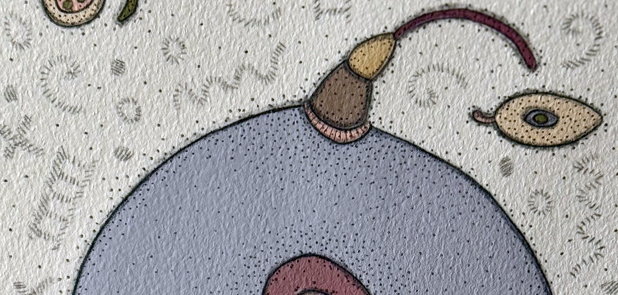 detail from Pip