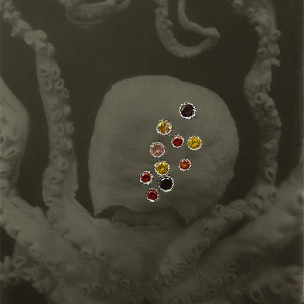 Detail from Karl Fritsch and Gavin Hipkins, Der Tiefenglanz (Octopus), 2013, silver gelatin print, aluminium, cubic zirconia  Courtesy of the Wellington City Council City Art Collection 