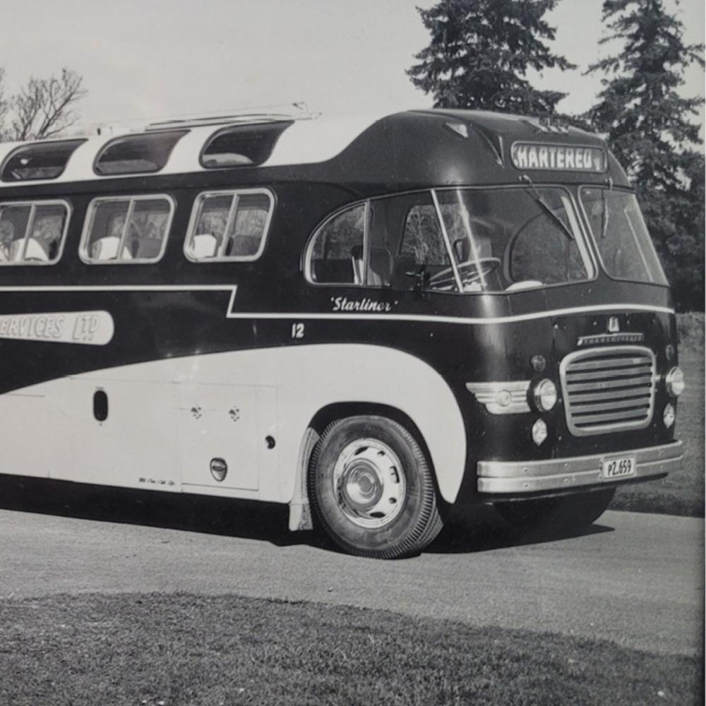 tranzit bus 