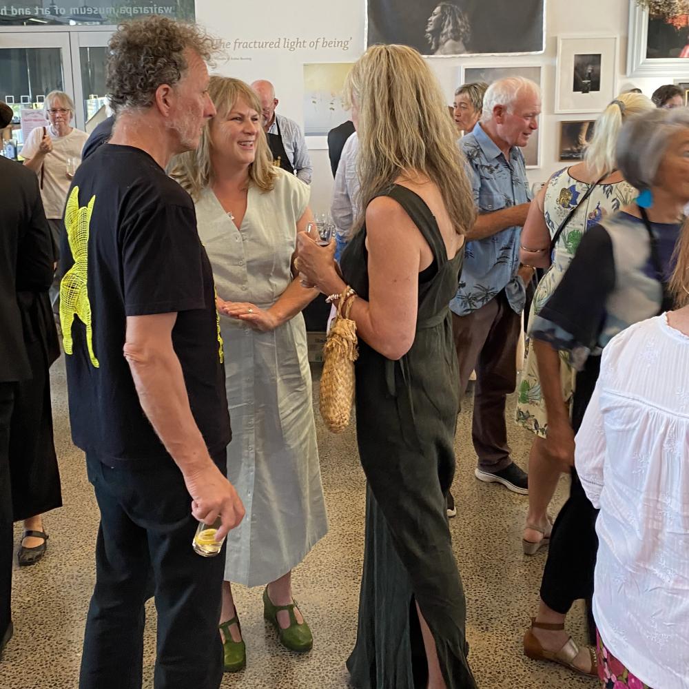 opening for Wairarapa Art review