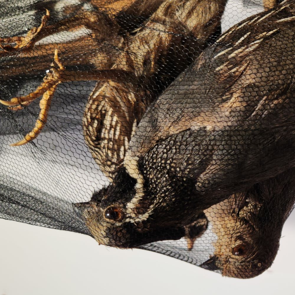 detail of Overmorrow