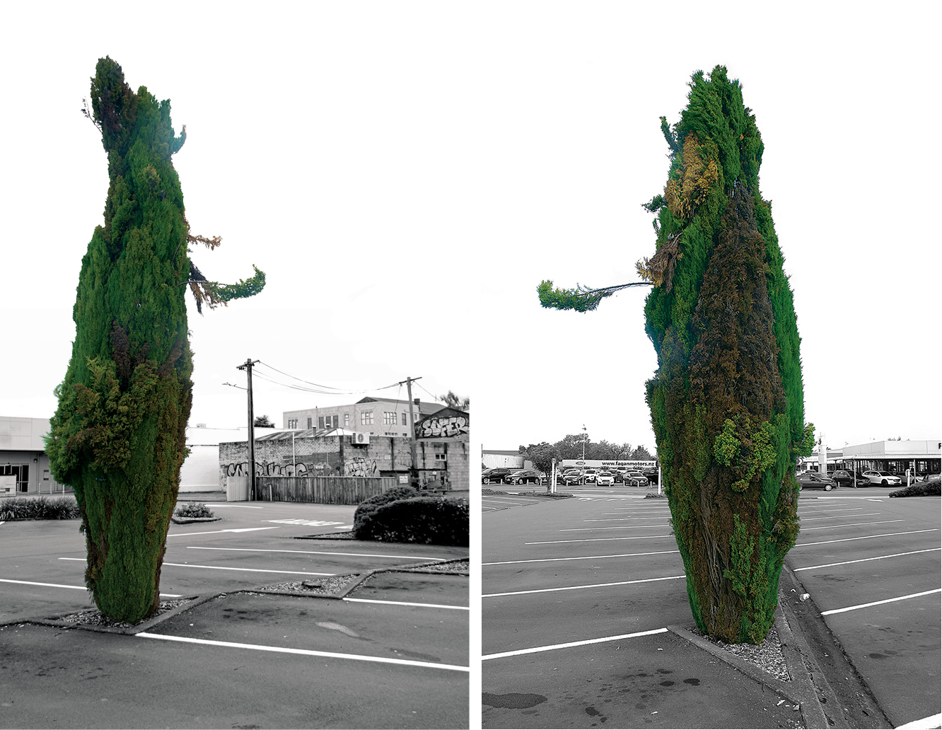 Madeleine Slavick, Parking Lot Conversation