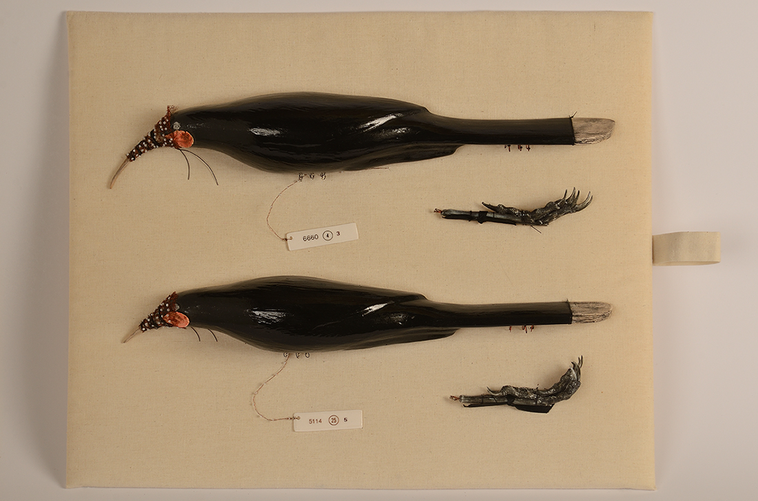 Kirsty Gardiner, Artifact, mixed media, Collection of Aratoi Wairarapa Museum of Art and history