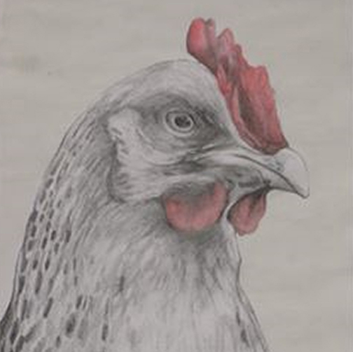 Hannah Anderson-Brooks, Printmaking